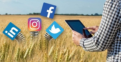 Bisnis Sayur Online: Bisnis Paling Prospek Virus Corona